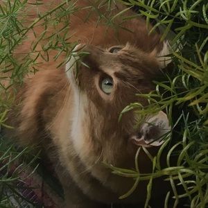 Meet your Posher, Elise